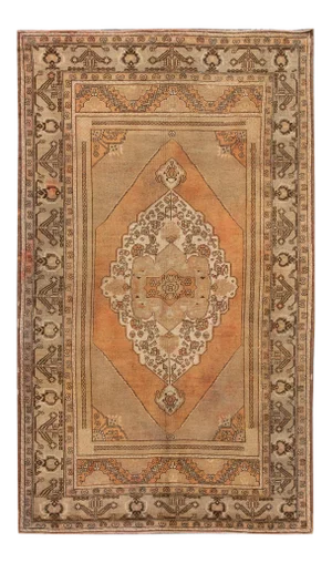 Early 20th Century Antique Khotan Rug 7 X 11