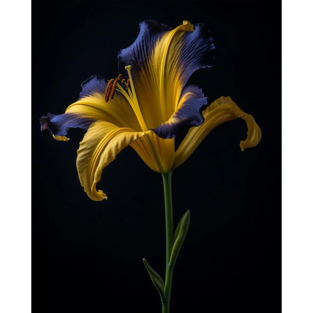 "A Botanical 7" Contemporary Original Still Life Botanical Photograph by Michael Filonow For Sale