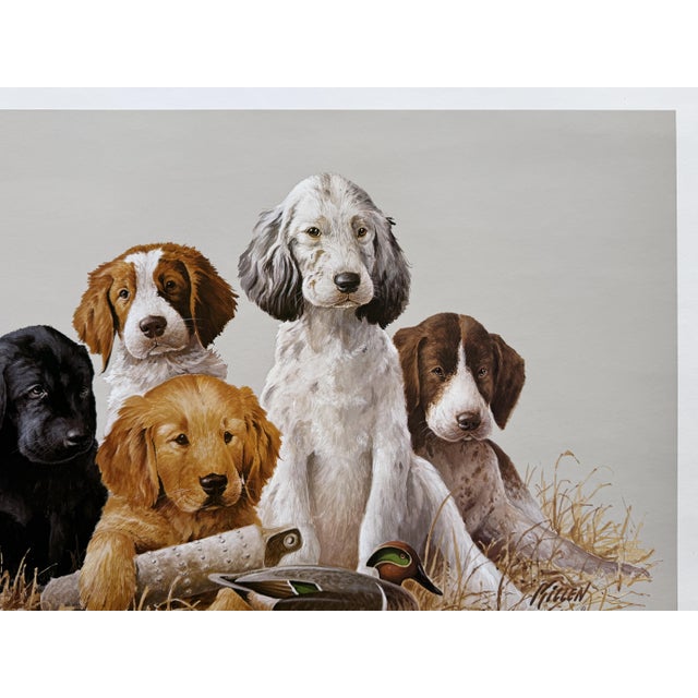 Jim Killen Sporting Dog Art Great Retrievers Labs (29.5"X20") "SCHOOL DAZE" Open Ed This product is an open edition print...
