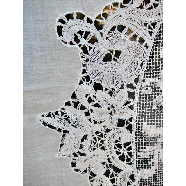 Early 19th Century French Cotton Sheer -Curtain Napoleon III Panel For Sale - Image 11 of 12