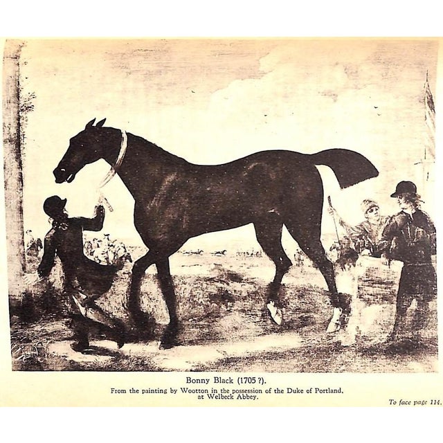 "The Royal Studs of the Sixteenth and Seventeenth Century" 1935 Prior, Charles Matthew For Sale In New York - Image 6 of 8