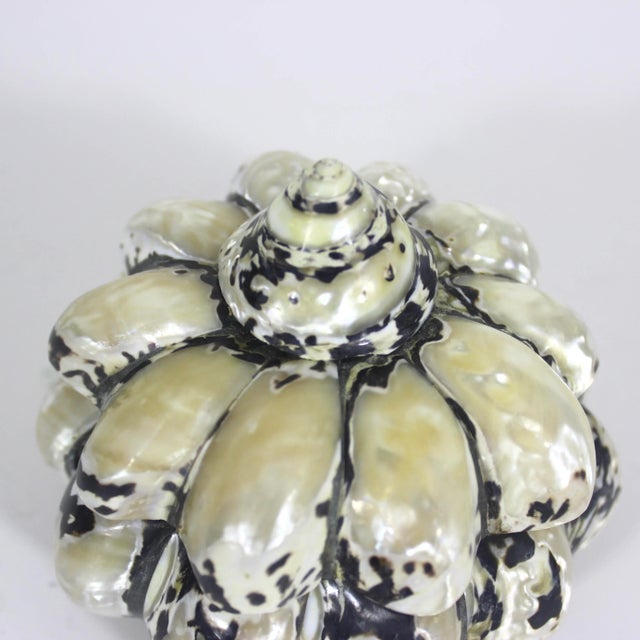 Vintage Shell Trinket Box For Sale - Image 10 of 10