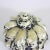 Vintage Shell Trinket Box For Sale - Image 10 of 10