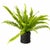 Refresh your home with the lush, vibrant look of this Potted Fern Plant. Featuring bright green fronds with finely...