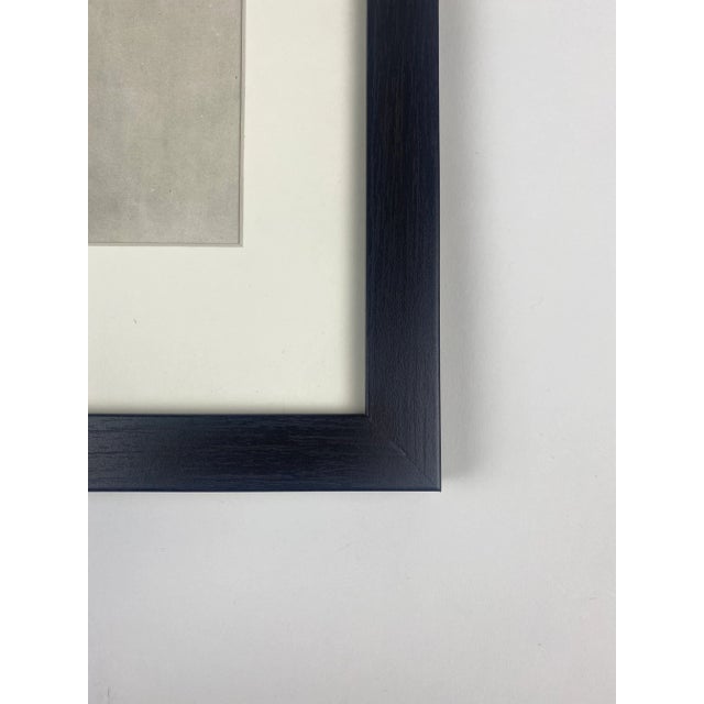 Photorealism 1930s Framed Botanical Blossfeldt Print - No. 107 For Sale - Image 3 of 5