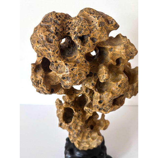 Chinese Yellow Scholar Taihu Stone on Wood Stand For Sale - Image 10 of 13