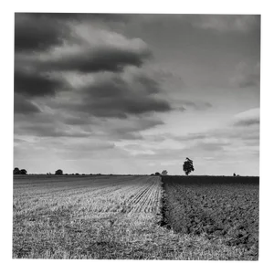 Paul Cooklin, The Dividing Line, Silver Gelatin Photograph, Limited Edition of 10
