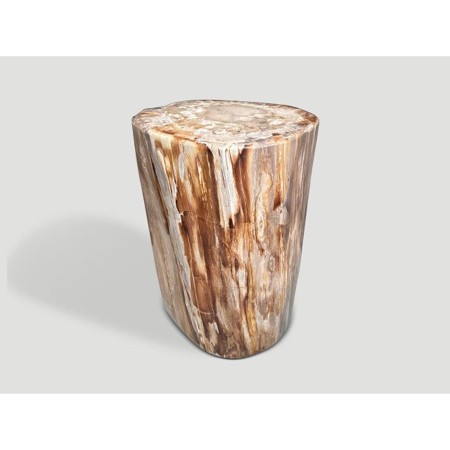 Andrianna Shamaris Coral Toned High Quality Petrified Wood Side Table For Sale - Image 4 of 6