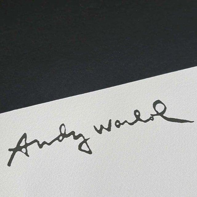 1980s 1980s After Andy Warhol, John Wayne Limited Edition Lithograph For Sale - Image 5 of 9