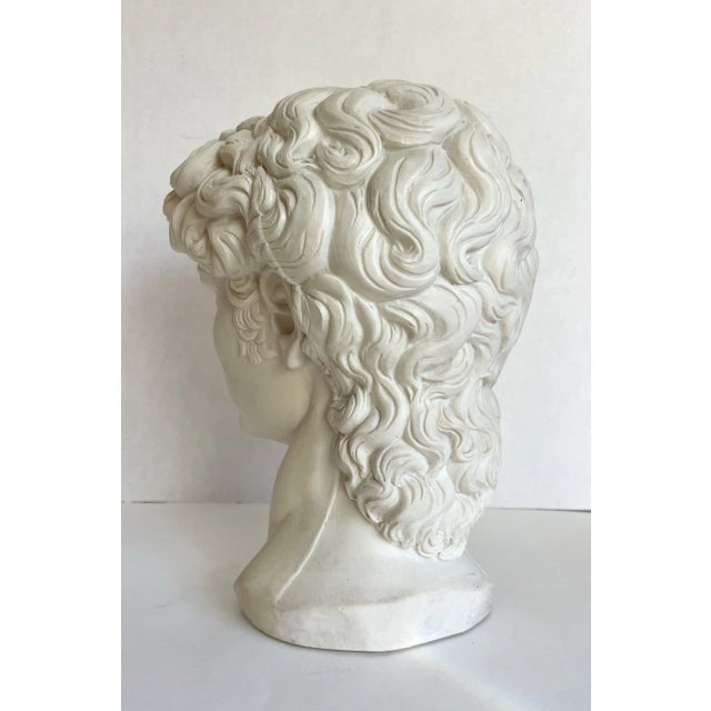 Plastic Vintage Faux-Stone Portrait Bust of Michelangelo's David For Sale - Image 7 of 12