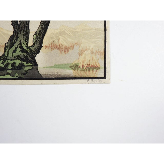 Early 20th century woodcut in color on paper of old tree in the mountains on a foggy day by Elsie Garrett Rice (1869-1923)...