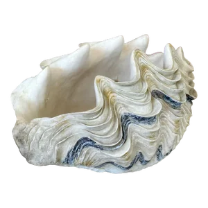 Vintage Coastal Clam Shell Cast Resin Decorative Bowl
