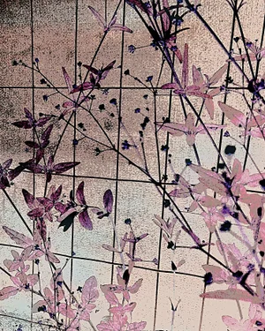 Kyoto - Archival Pigment Print on Fine Art Matte Paper by Reed Hearne