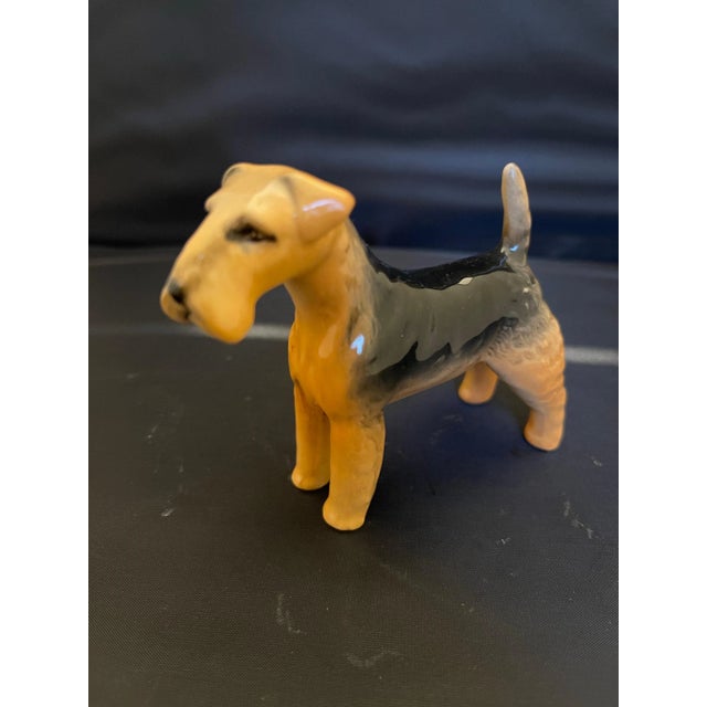 English Porcelain Figure of Fox Terrier Dog, 20th Century