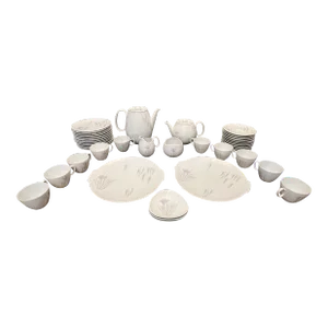 Vintage Johann Haviland Bavaria Tea Set