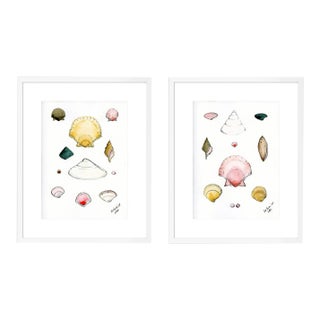 Shells Diptych by Lia Burke Libaire in White Frame, XS Art Prints, Set of 2 For Sale