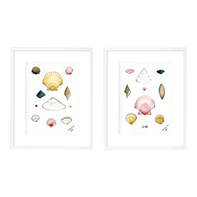 Shells Diptych by Lia Burke Libaire in White Frame, XS Art Prints, Set of 2 For Sale