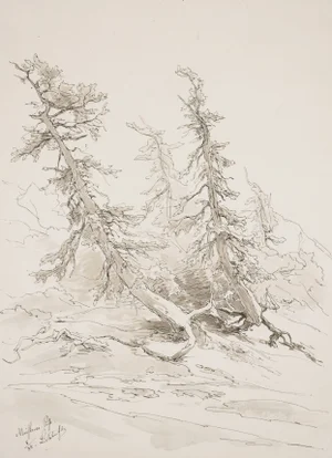Eduard Peithner Von Lichtenfels, Forest, Mixed Media Drawing, 1884