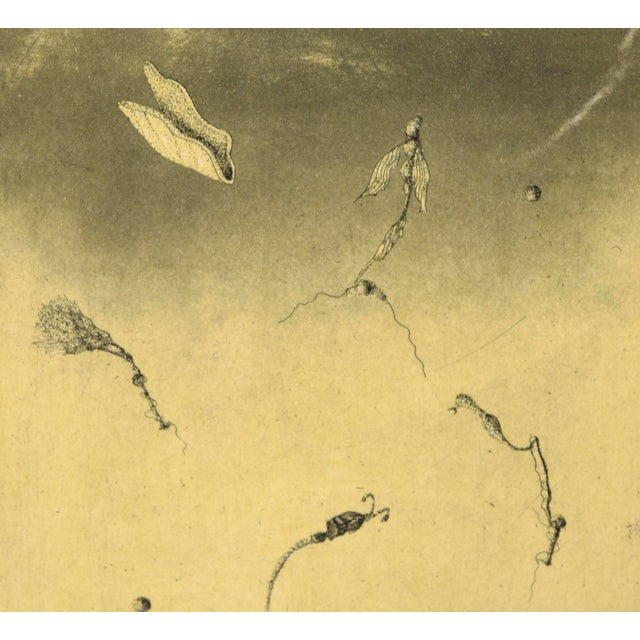 Surrealism "Triangular Sunset Situation" - Surrealist Colored Etching #15/16, 1978 by James C. Crabb For Sale - Image 3 of 9