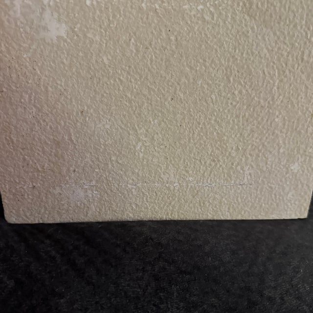 2020s Fossil Plated Fish - Diplomystus - Preserved on a Limestone Slab For Sale - Image 5 of 6