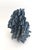 Natural Blue Coral Specimen Coastal Decor For Sale - Image 4 of 11