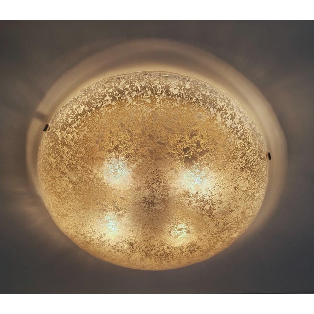 Large Murano Speckled Glass Ceiling Lamp by Egon Hillebrand for Hillebrand Leuchten, Germany, 1970s For Sale - Image 17 of 18
