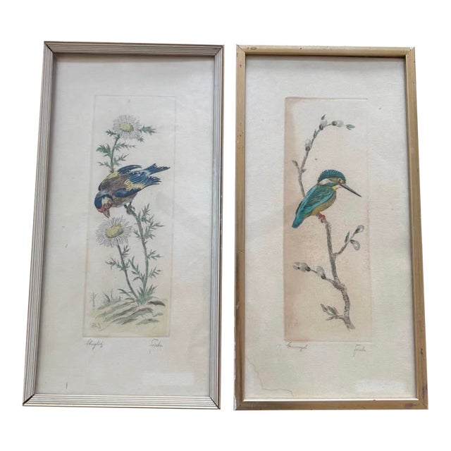 Vintage Framed Bird Prints – Pair | European Style Nature Art For Sale