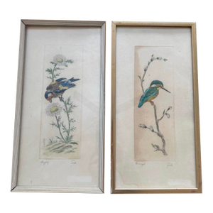 Vintage Framed Bird Prints – Pair | European Style Nature Art
