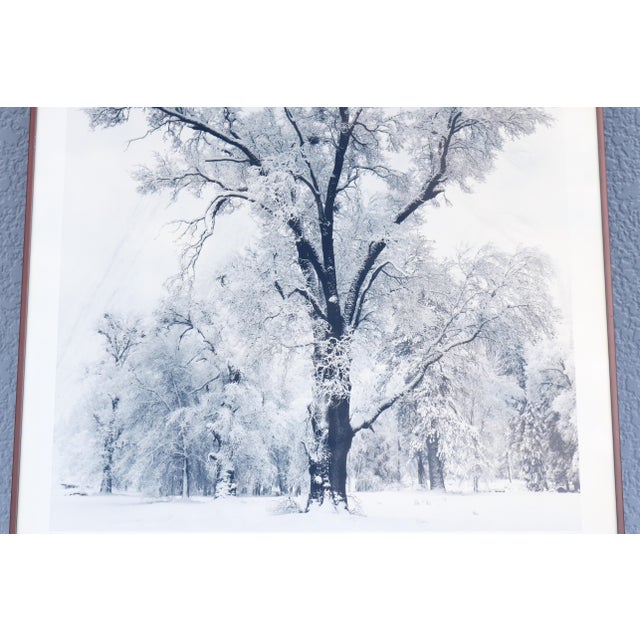Black 1948 Ansel Adams Oak Tree Snowstorm, Yosemite National Park Photograph Art Print For Sale - Image 8 of 18