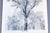 Black 1948 Ansel Adams Oak Tree Snowstorm, Yosemite National Park Photograph Art Print For Sale - Image 8 of 18