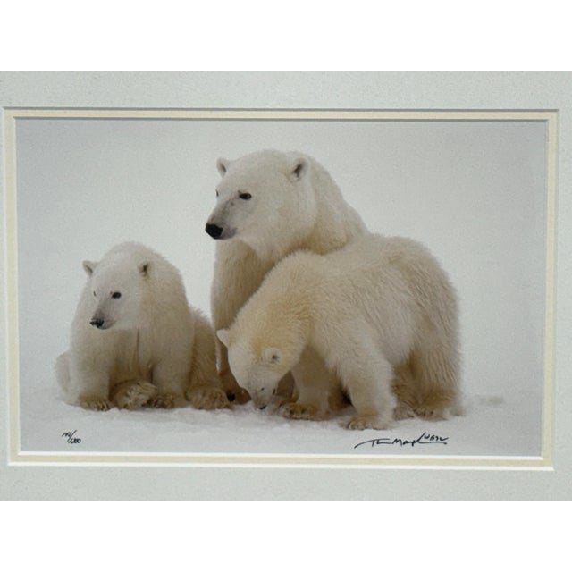 Thomas Mangelsen Images of Nature Collection of Polar Expressions Photography, Signed For Sale - Image 9 of 12