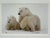 Thomas Mangelsen Images of Nature Collection of Polar Expressions Photography, Signed For Sale - Image 9 of 12