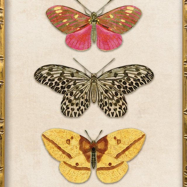 2020s Reproduction Vintage Butterfly Art Print Set (Set of 2), Framed For Sale - Image 5 of 7