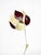 1950s Symanka-Sy 1 Floor Lamp by Günter Ssymmank, Germany, 1959 For Sale - Image 5 of 18