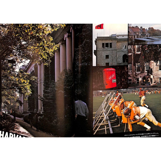 "Ivy Bowl" 1977 Hayashida, Teruyoshi For Sale - Image 13 of 14