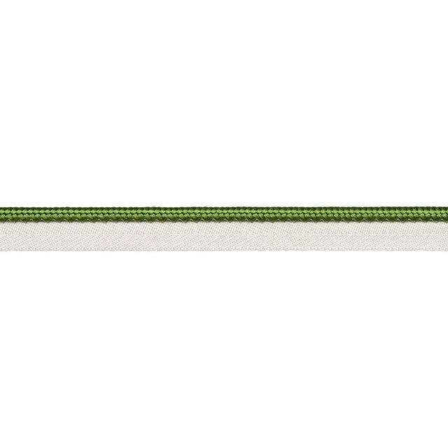Schumacher Gustave Silk Lip Cord Medium Trim In Green For Sale