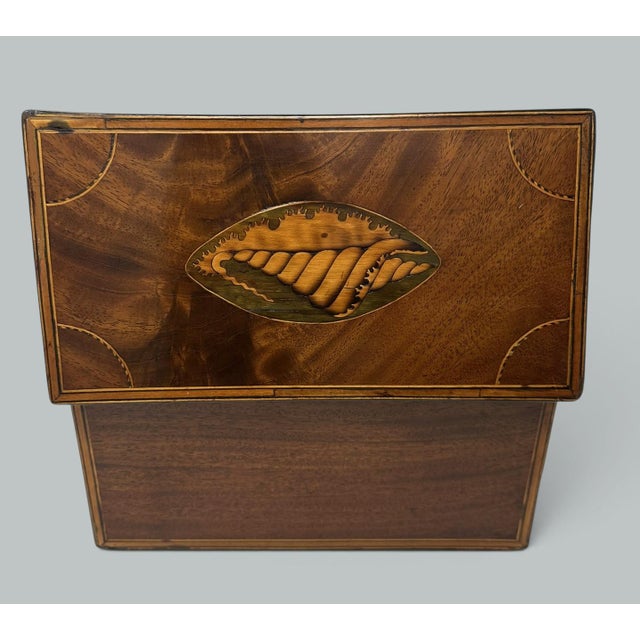 Antique Georgian Mahogany Satinwood Inlaid Jewelry Cigar Conch Shell Casket Box For Sale - Image 6 of 9