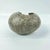 African Early 20th Century Mbole Anklet Currency Mali For Sale - Image 3 of 7