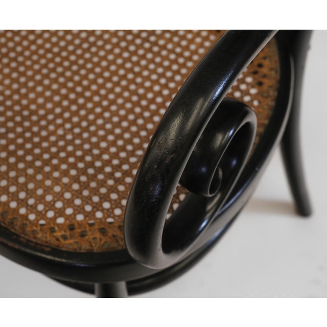 Black Art Nouveau Bentwood Ebonised Bench No 96 attributed to Thonet, 1900s For Sale - Image 8 of 18