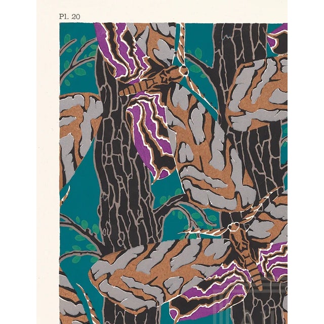 All Edges Gilt's edition of Séguy's Papillons: vingt planches en phototypie coloriées au patron donnant 81 papillons et 16...