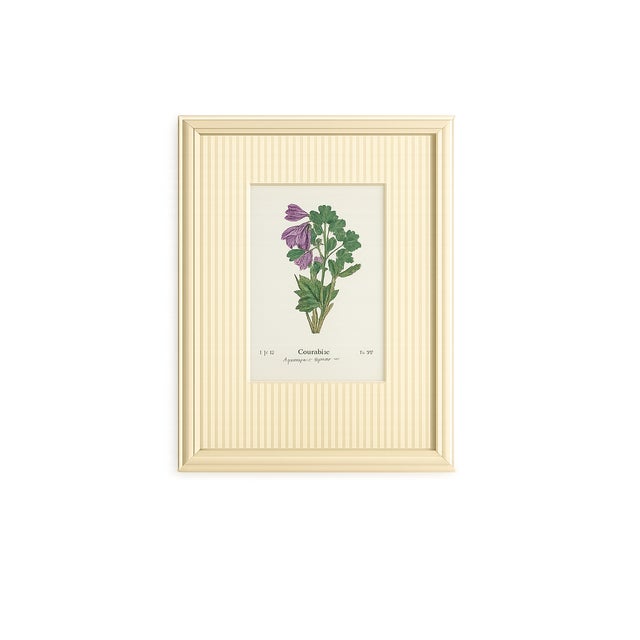 Paper Set of Twelve Antique Alpine Botanical Chromolithographs Circa 1909 in Custom Frames. For Sale - Image 7 of 15