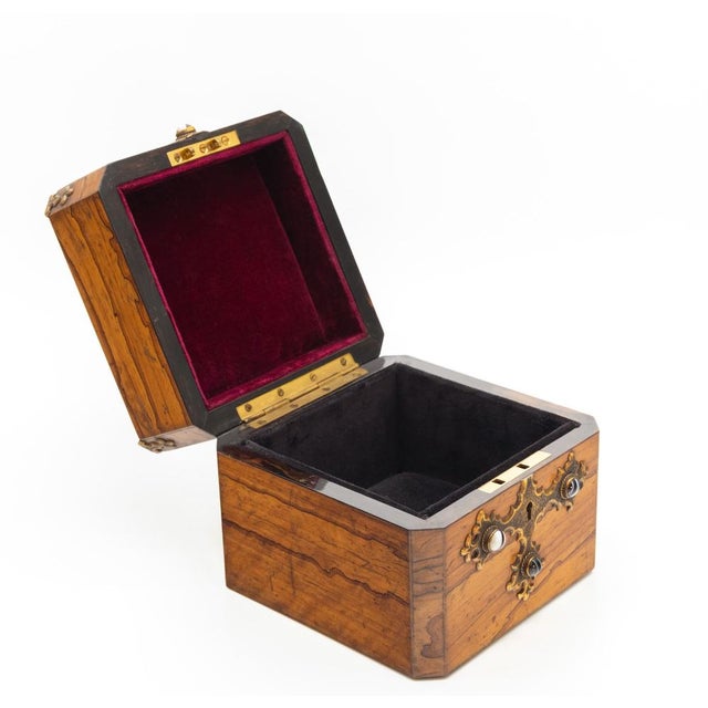 Gothic Revival Box in Olive Wood, 1880 For Sale - Image 5 of 18