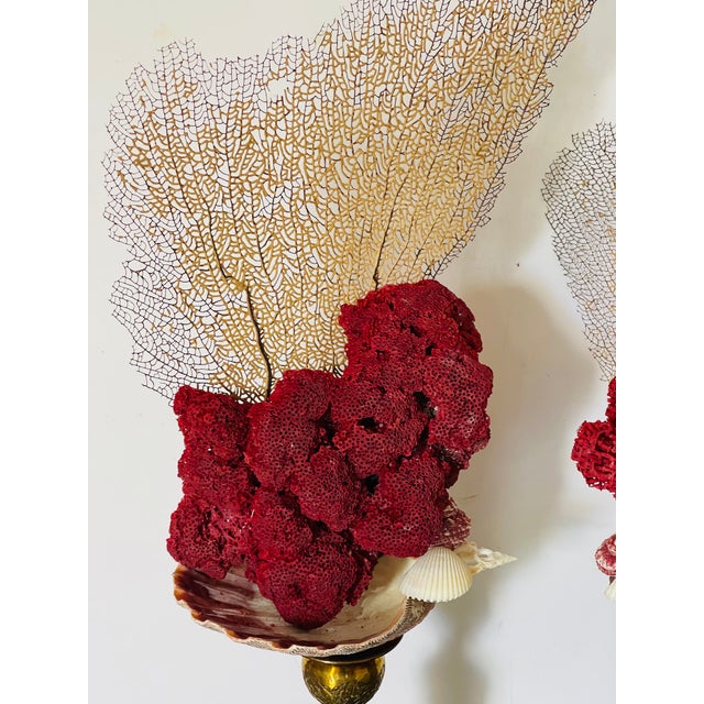 Gorgeous antique pair of marine assemblage with red pipe coral clusters, sea shells and sea whip branches.