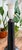 Model DL 32 Table Lamp by Per Linnemann-Schmidt for Palshus, 1960s For Sale - Image 4 of 10
