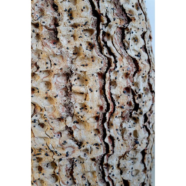 Beige Large Amphora by Claudi Casanovas, Spain, 1995 For Sale - Image 8 of 13