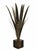 Gold Gilt Palm Table or Floor Lamp in the style of Tommaso Barbi, Italy, 1960s For Sale - Image 8 of 8