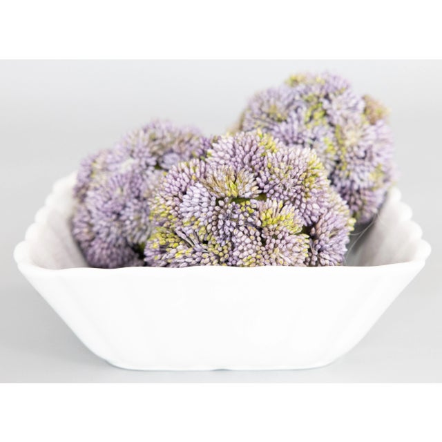A beautiful antique English white ironstone bowl with a lovely fluted or scalloped Lady Finger design. Made by John...