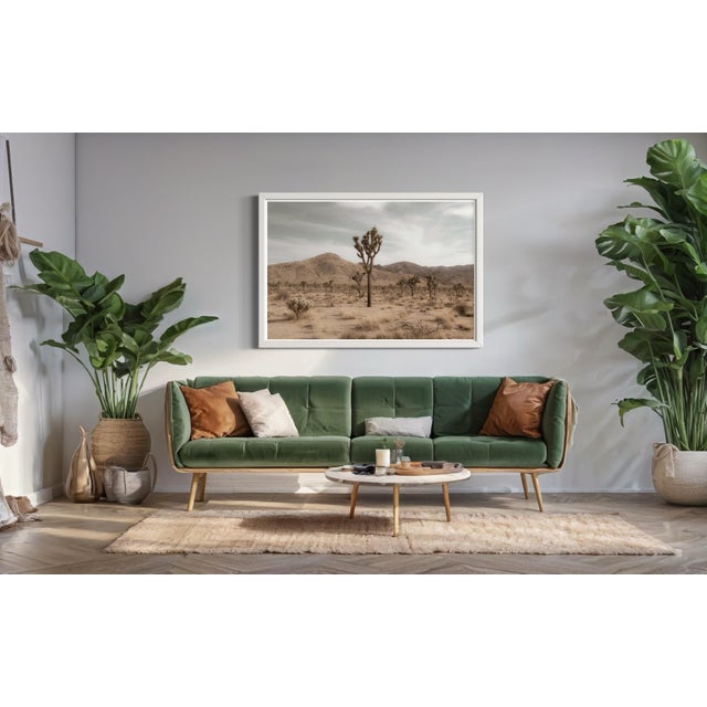 Desert Evening captures the serene beauty of Joshua Tree desert just after sunset. Soft, dusky and warm hues fill the sky,...