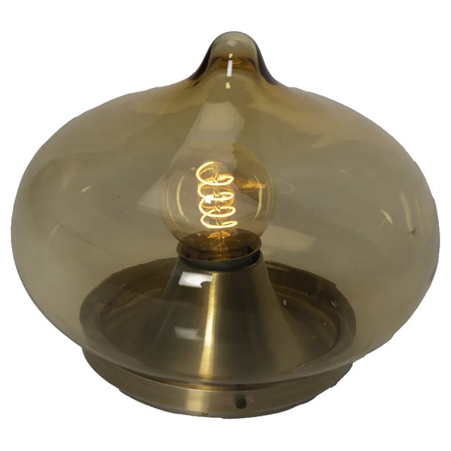 Brown Glass Drop Ceiling Lamp from Dijkstra Lampen For Sale