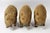 Vintage Mid 20th Century Straw Covered Wild Boar Figures - Group of 3 For Sale - Image 11 of 11